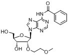 N6-苯甲?；?2'-O-(2-甲氧基乙基)腺苷